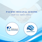 PACIFIC OCEAN - AUTHORIZED DISTRIBUTOR OF MARINE ENGINE - SPARE PARTS FOR ACEONE IN VIETNAM